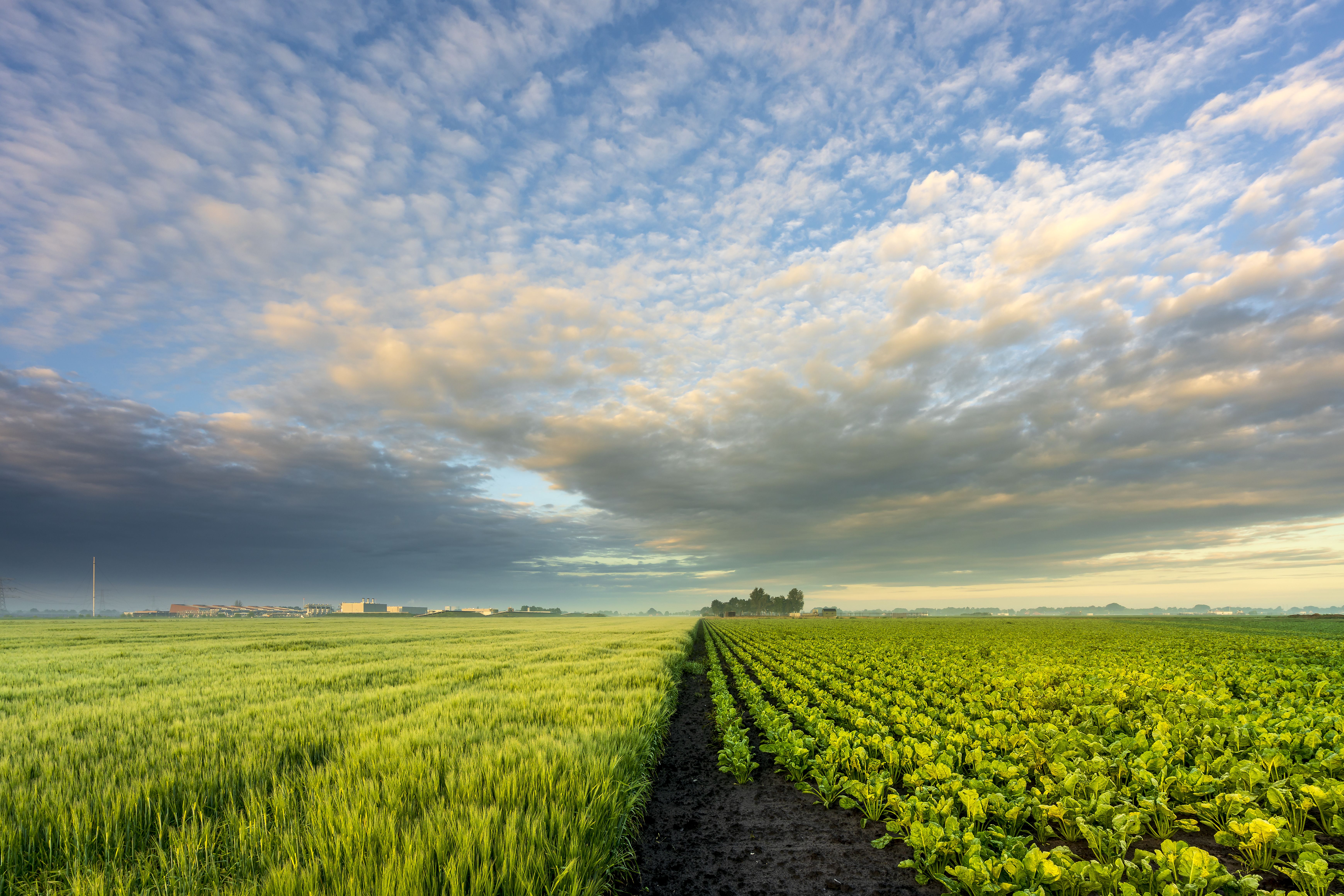 Landbouwgrond vlakbij aardgasbuffer Zuidwending