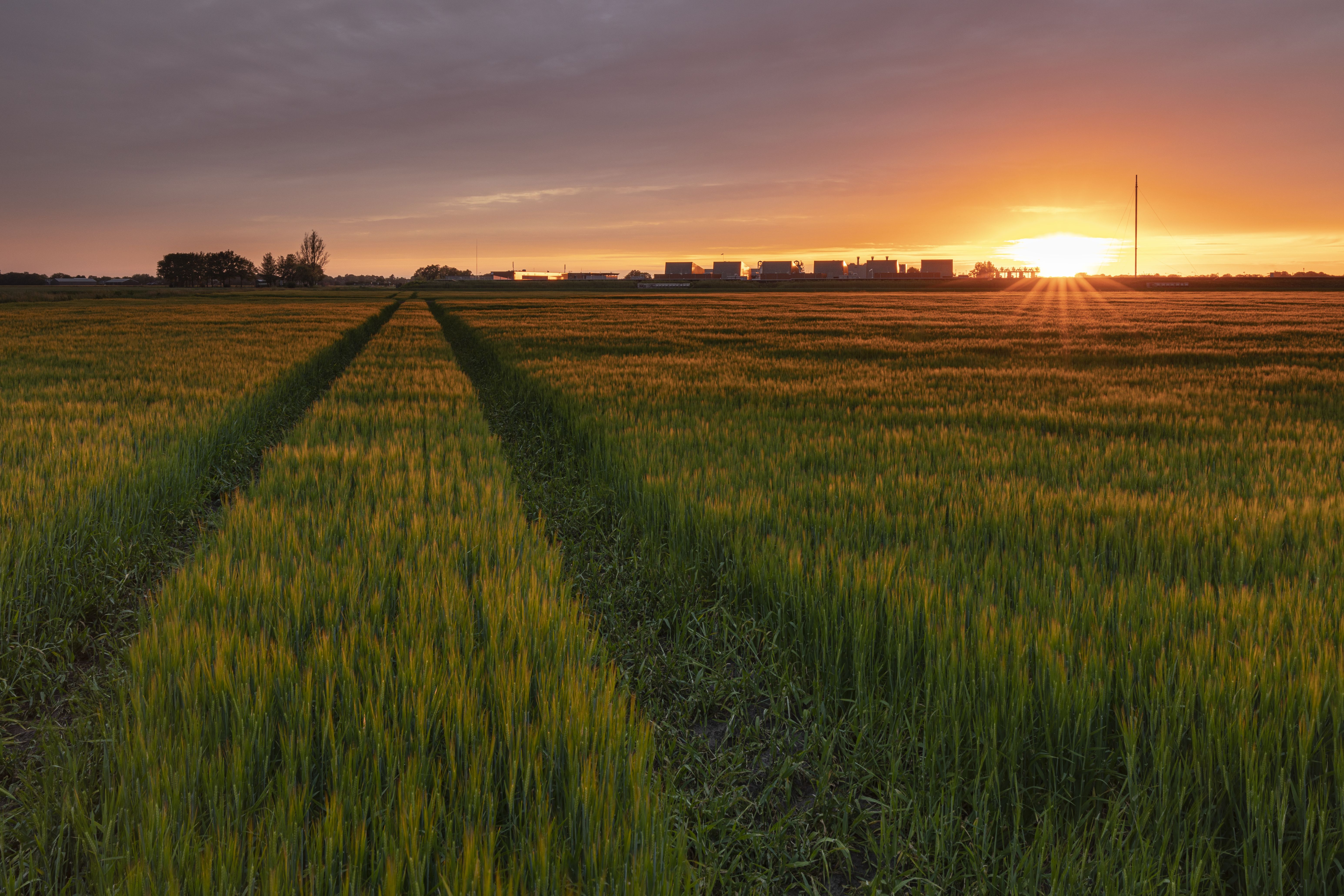 Groene velden zonsopgang zoutwinning en evaluatieboringen Zuidwending