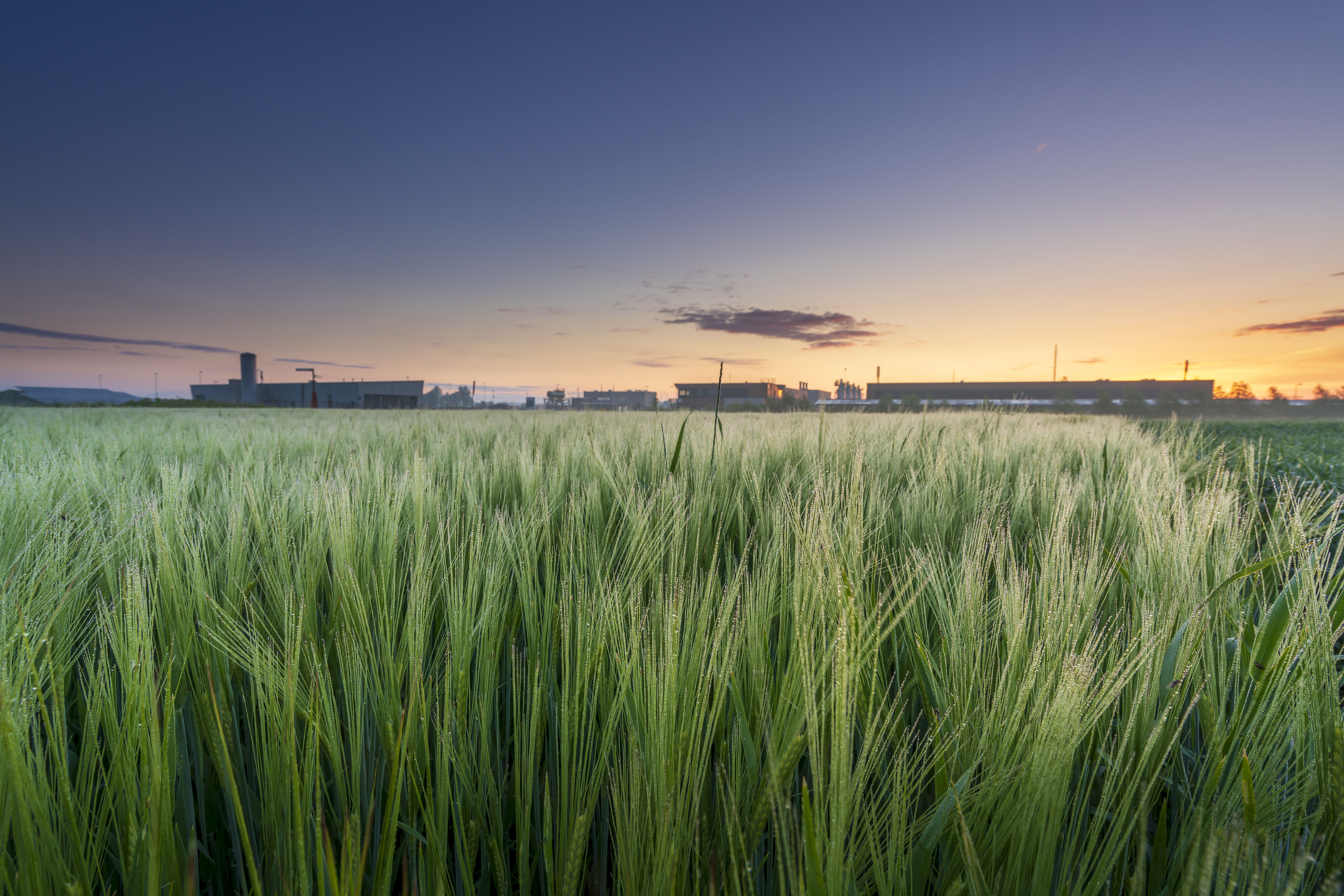 Ondergrondse opslag duurzame energie Zuidwending in verte zichtbaar vanaf land